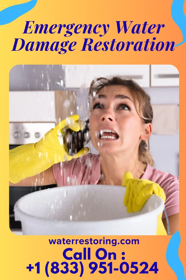 Emergency Water Damage Restoration in Rancho Chico, TX