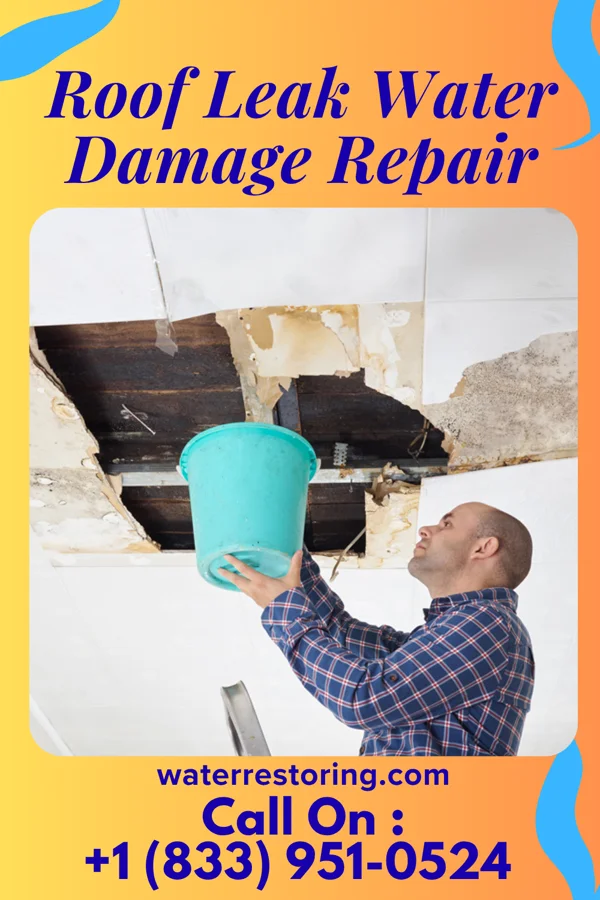 Roof Leak Water Damage Repair in Rancho Chico, TX